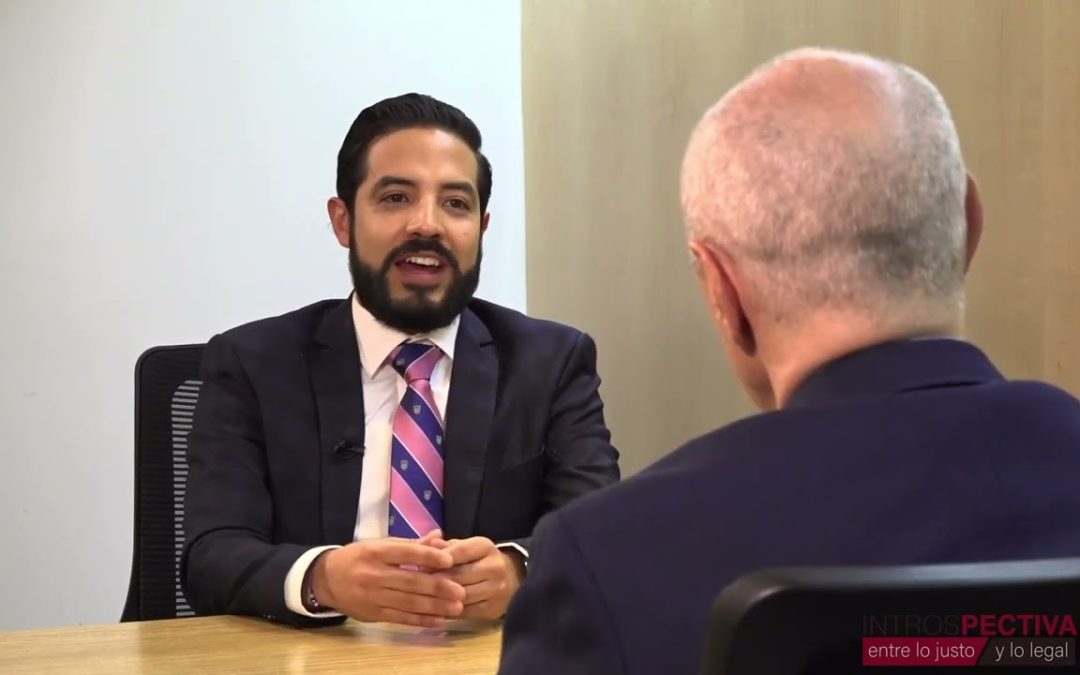 Nuevos perfiles profesionales de los abogados