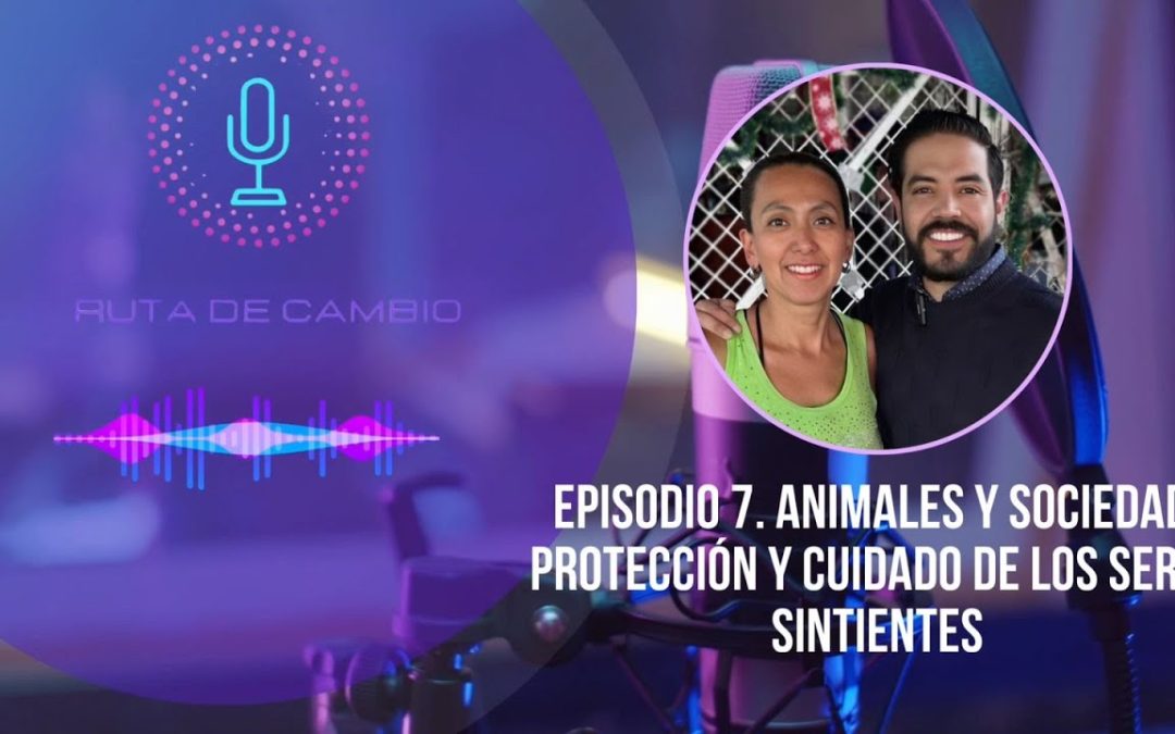 RUTA DE CAMBIO. EPI 7. ANIMALES Y SOCIEDAD || Protección y cuidado de los seres sintientes