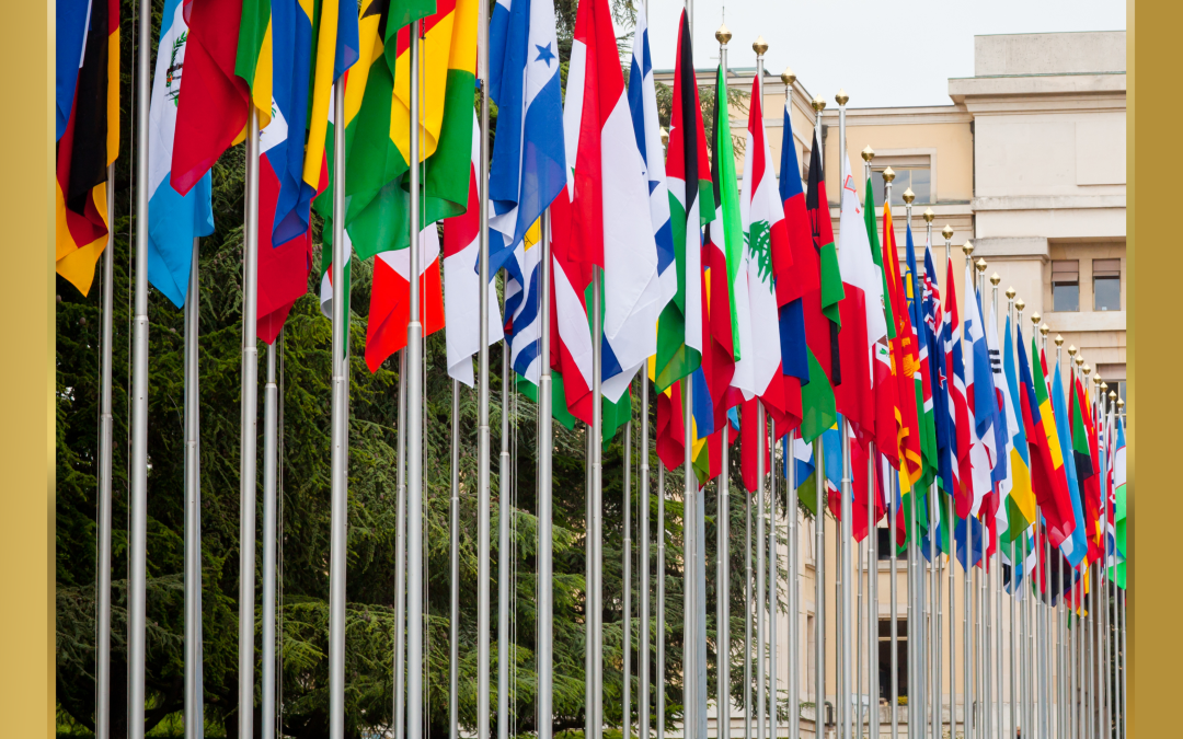 Reflexiones sobre el Pacto Internacional de Derechos Económicos, Sociales y Culturales