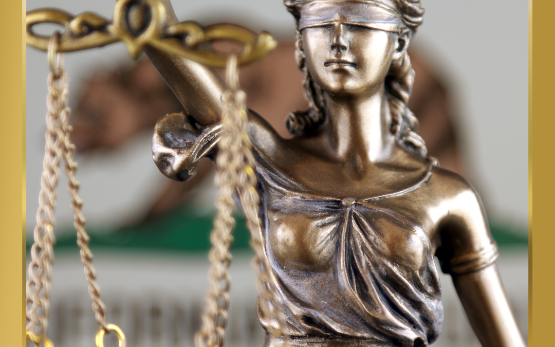 Reflexión de Litigio Estratégico En Derechos Humanos