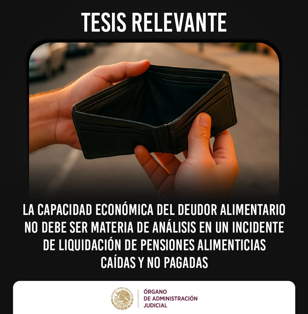 #TesisRelevante | Un Tribunal determinó que la capacidad económica del deudor alimentario no se considera al liquidar pensiones alimenticias vencidas . 
Lee la tesis completa: